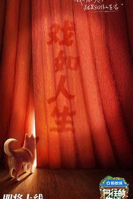 《向往的生活第八季》完整版在线观看