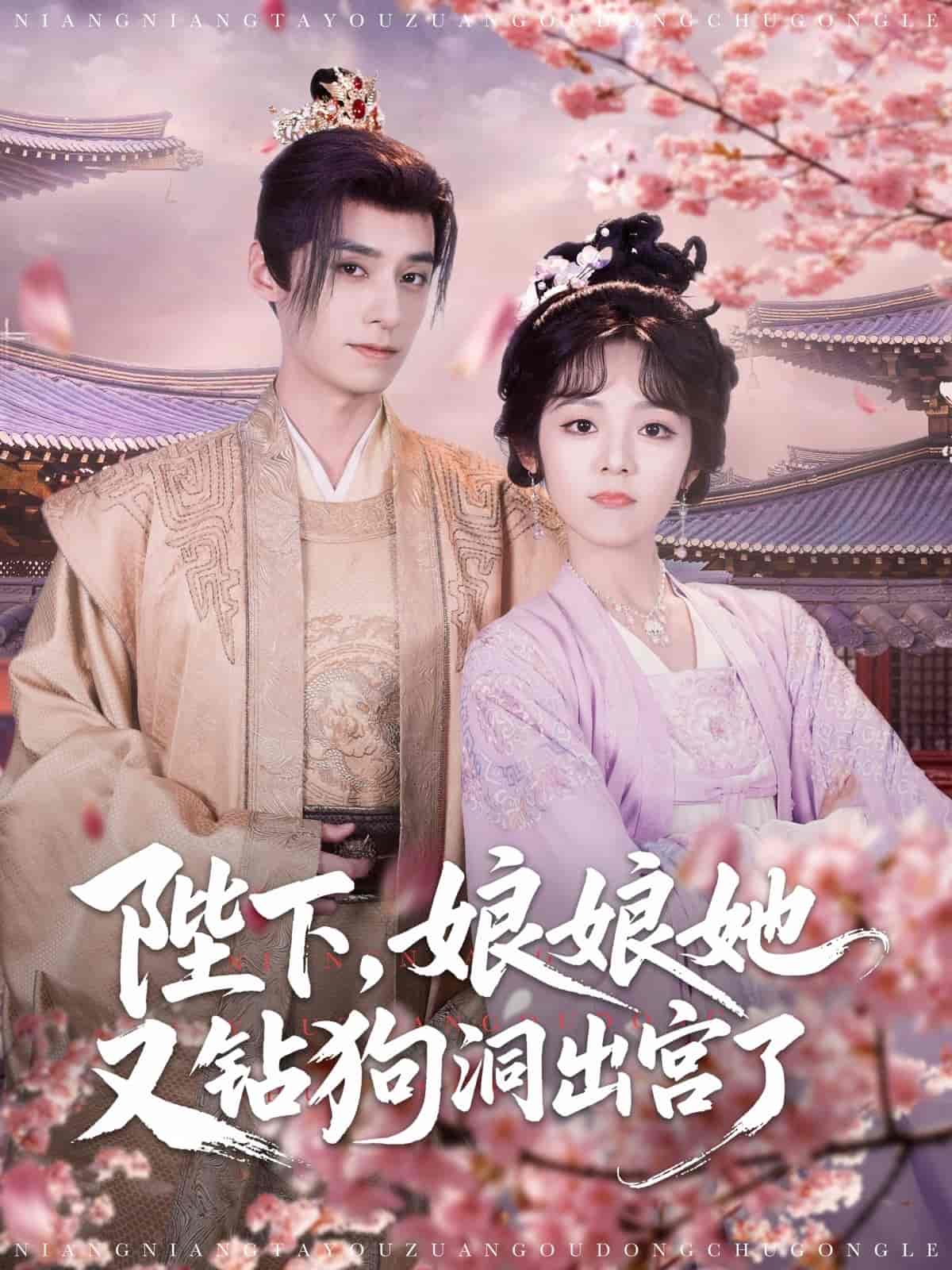 《陛下娘娘她又钻狗洞出宫了》完整版在线观看