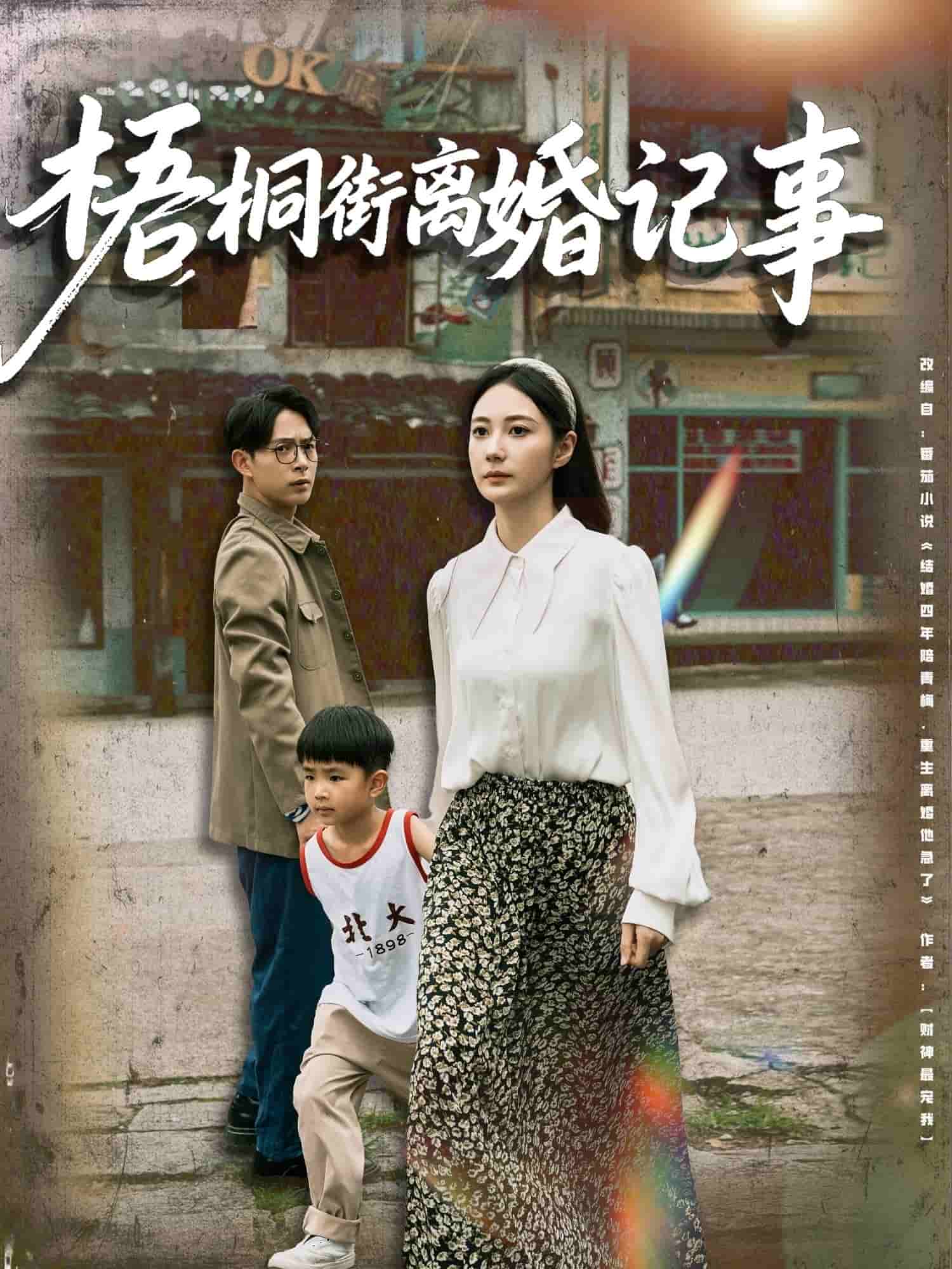 《梧桐街离婚记事》完整版在线观看