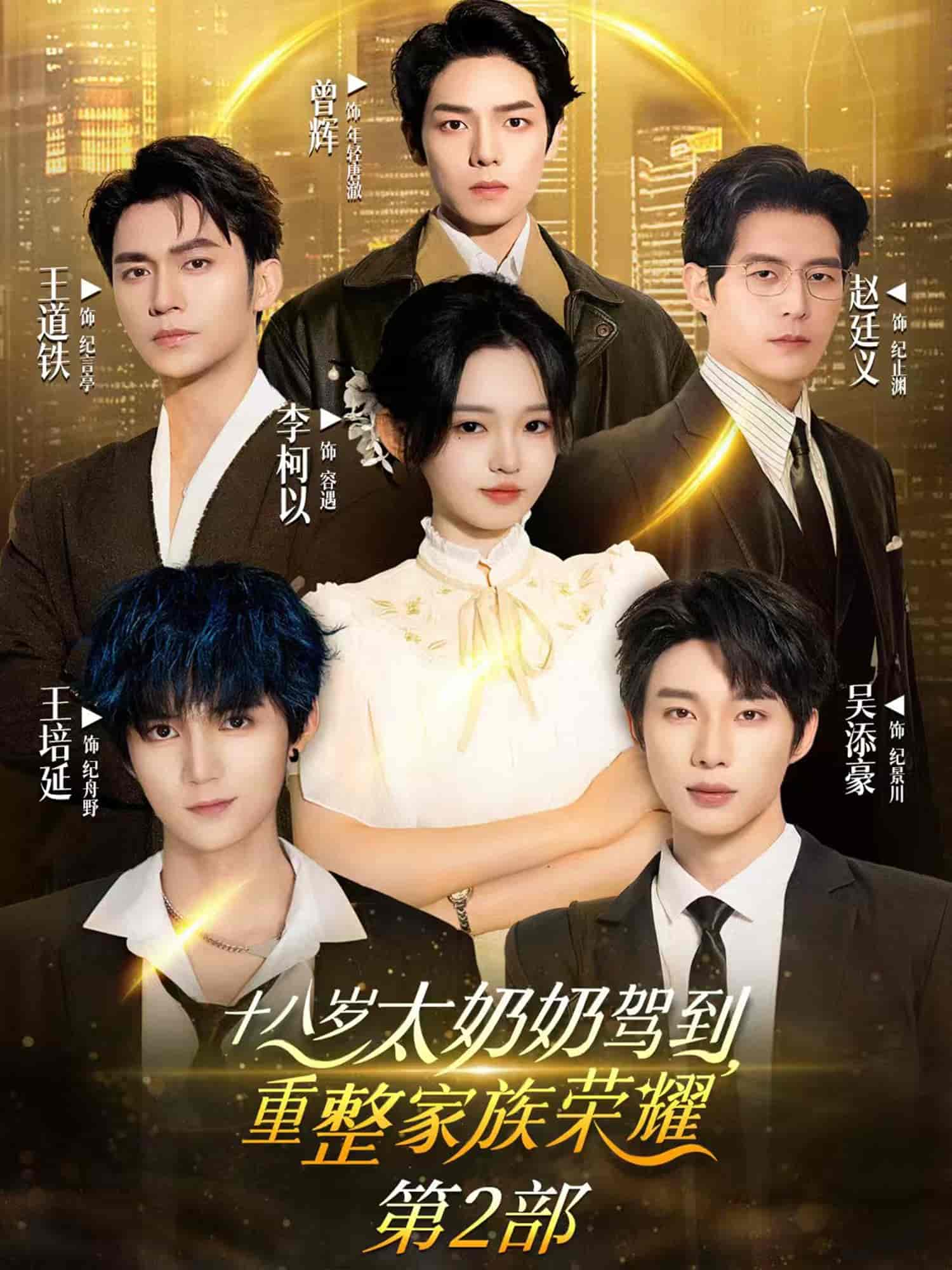 《十八岁太奶奶驾到，重整家族荣耀2》完整版在线观看