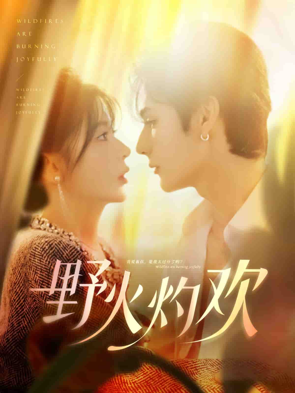 《野火灼欢》完整版在线观看