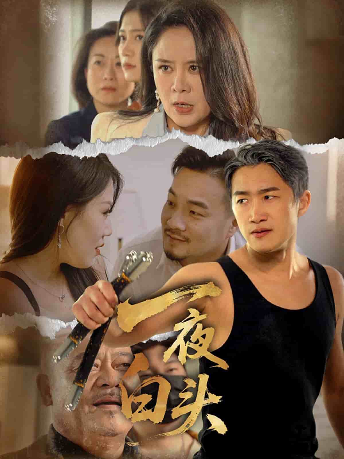 《一夜白头》完整版在线观看