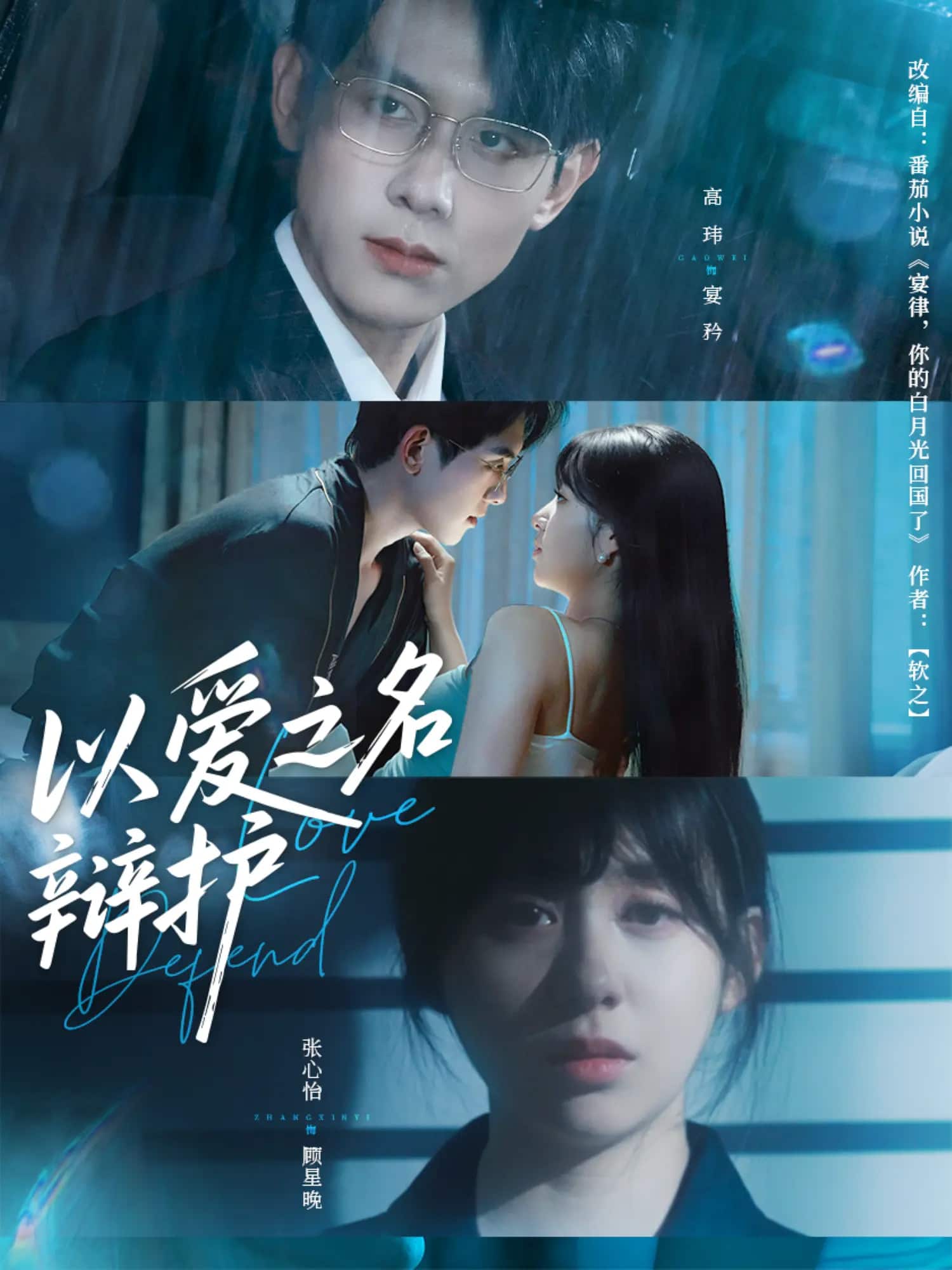 《以爱之名辩护》完整版在线观看