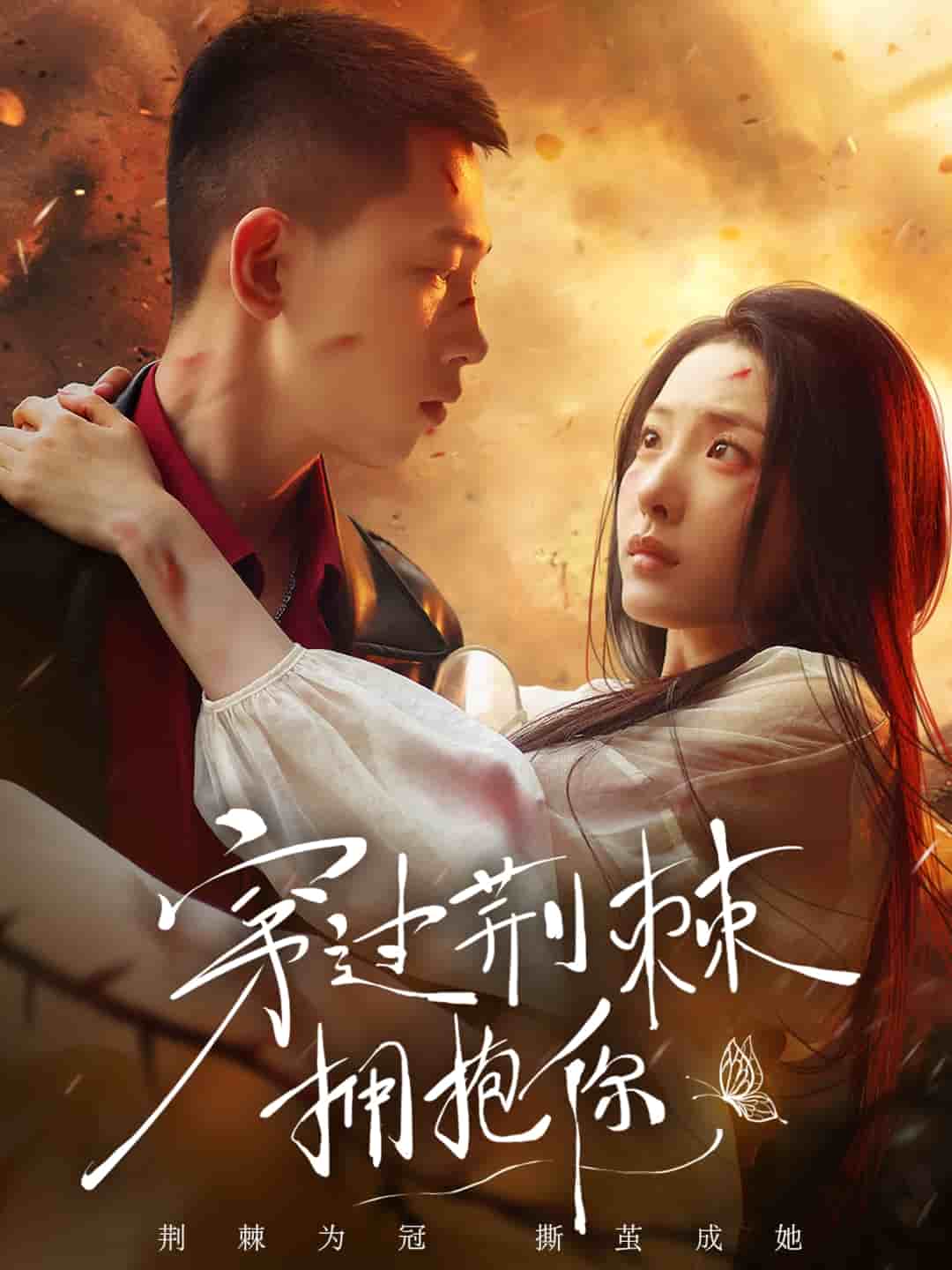 《穿过荆棘拥抱你》完整版在线观看