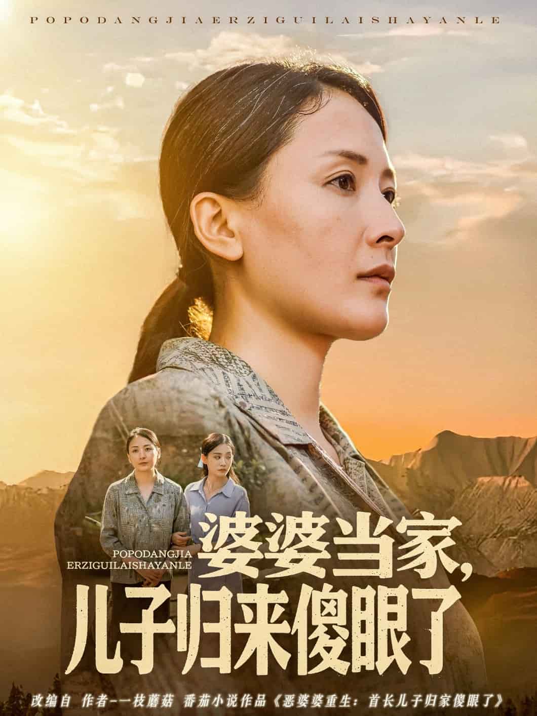 《婆婆当家儿子归来傻眼了》完整版在线观看