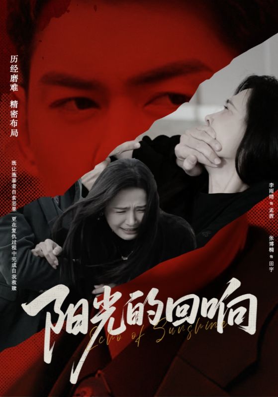 《阳光的回响》完整版在线观看