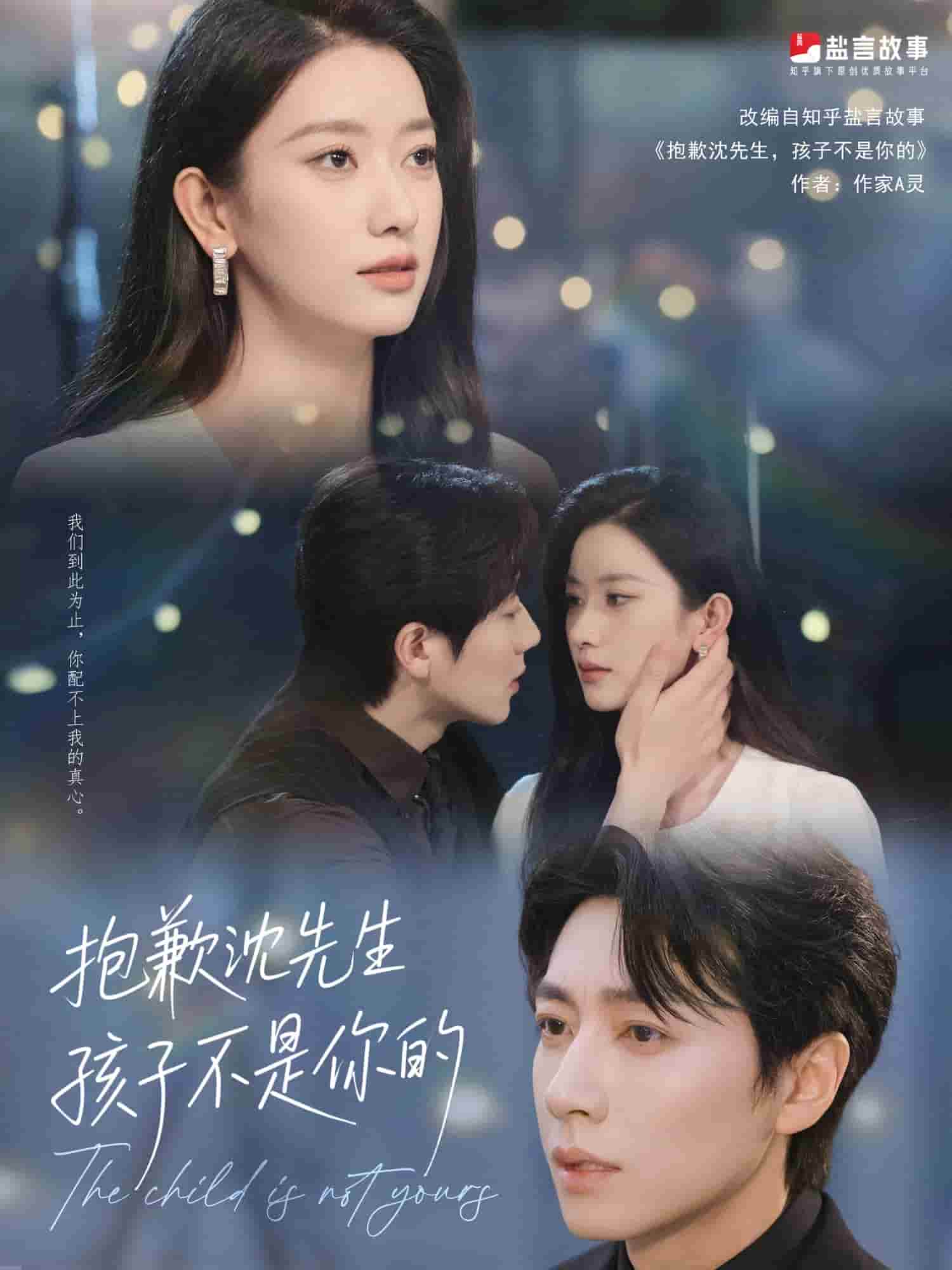 《抱歉沈先生孩子不是你的》完整版在线观看