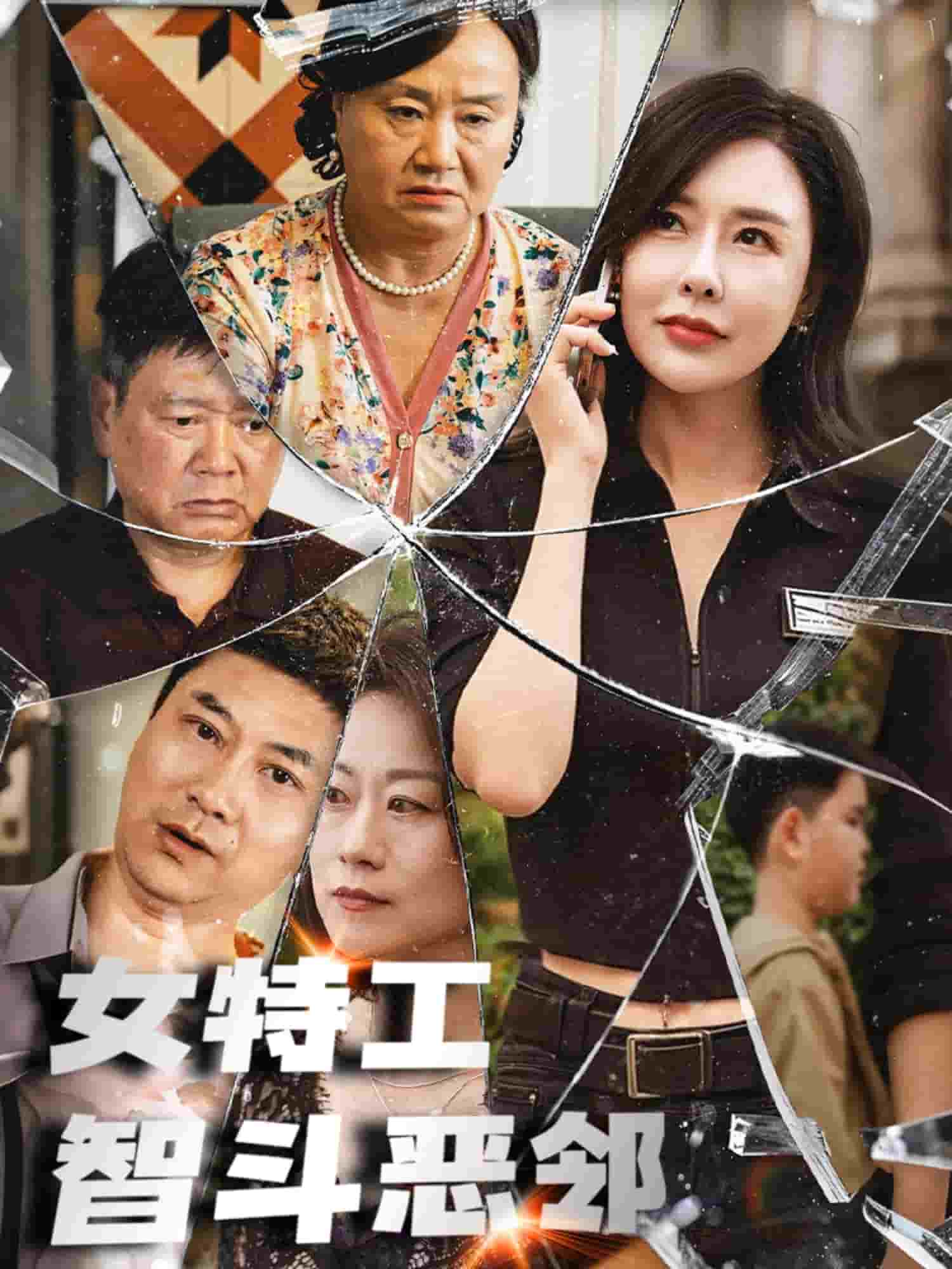 《女特工智斗恶邻》完整版在线观看