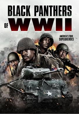 《二战黑豹》完整版在线观看