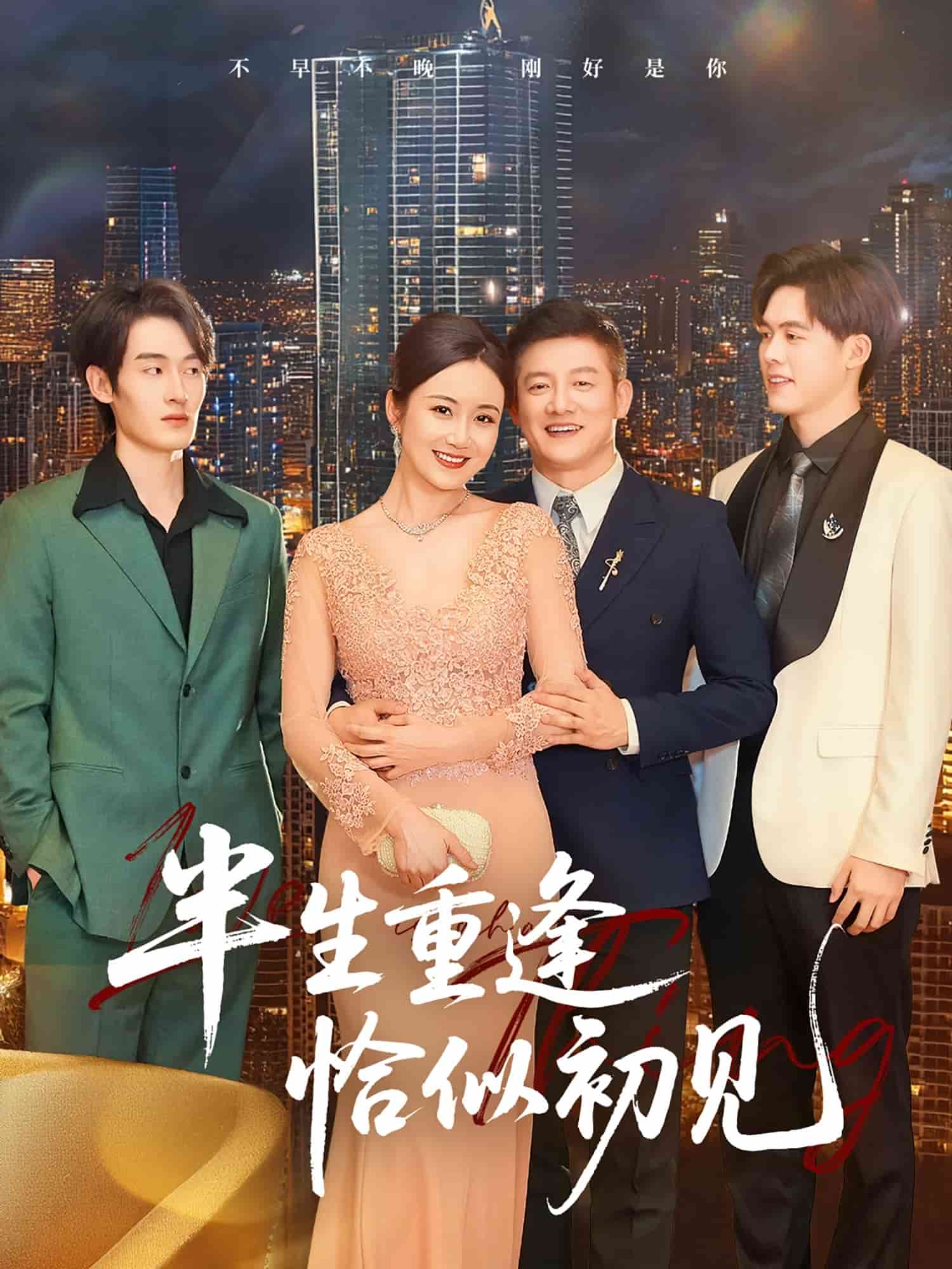 《半生重逢恰似初见》完整版在线观看