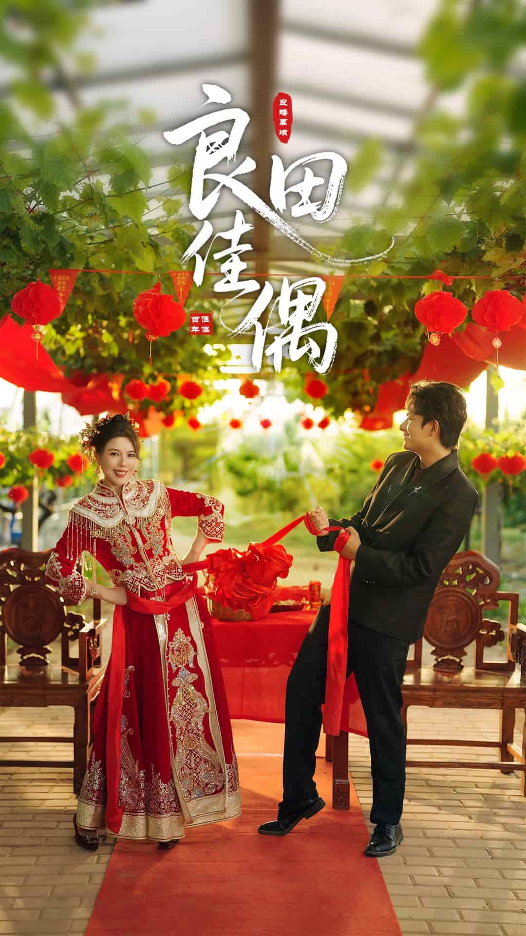 《良田佳偶》完整版在线观看