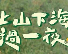 《上山下海过一夜》完整版在线观看