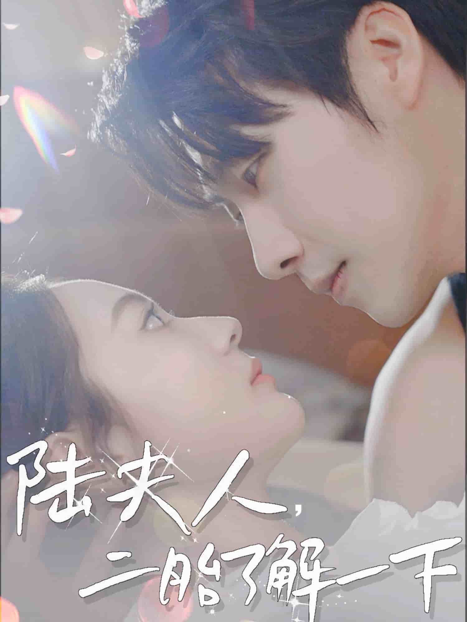 《陆夫人，二胎了解一下》完整版在线观看