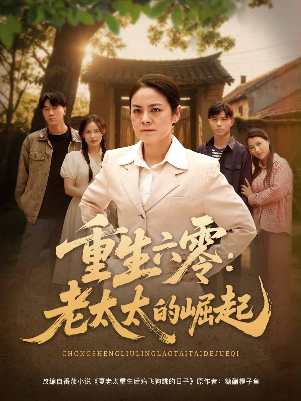 《重生六零:老太太的崛起》完整版在线观看