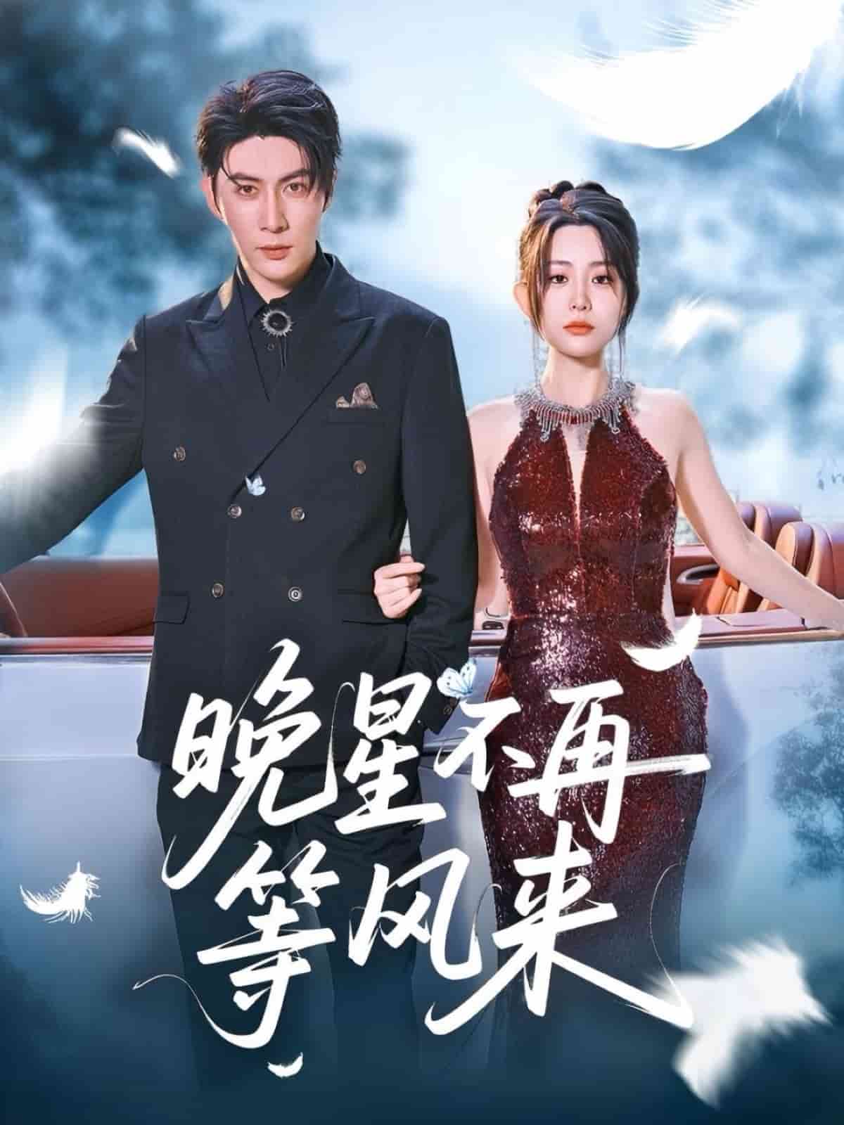 《晚星不再等风来》完整版在线观看