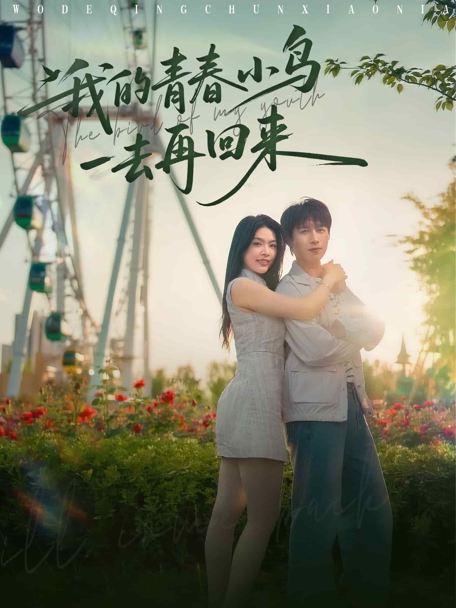 《我的青春小鸟一去再回来》完整版在线观看