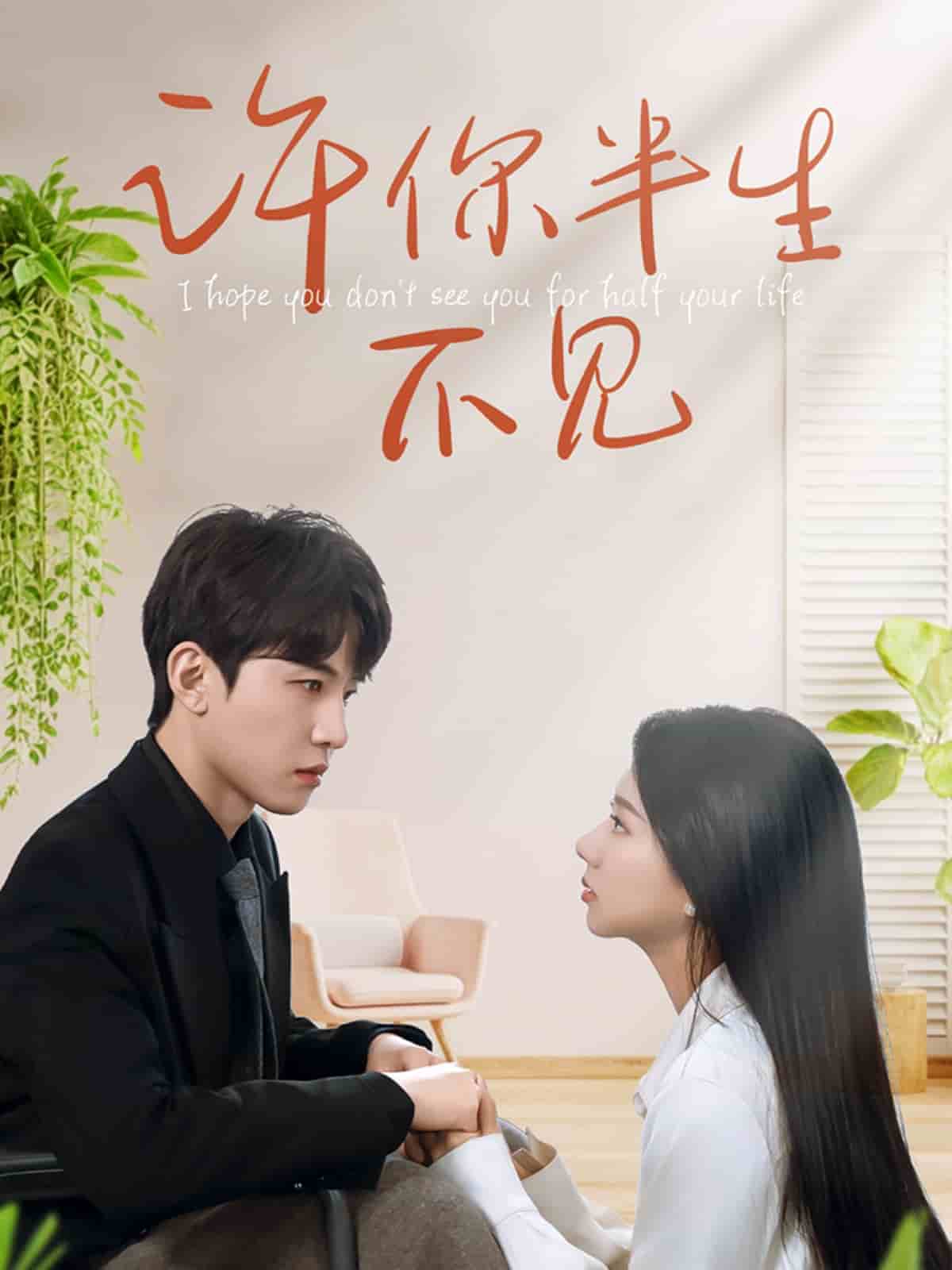 《许你半生不见》完整版在线观看