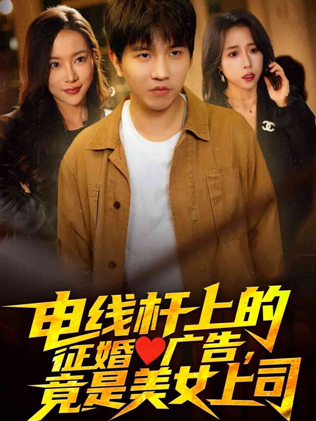 《电线杆上的征婚广告，竟是美女上司》完整版在线观看