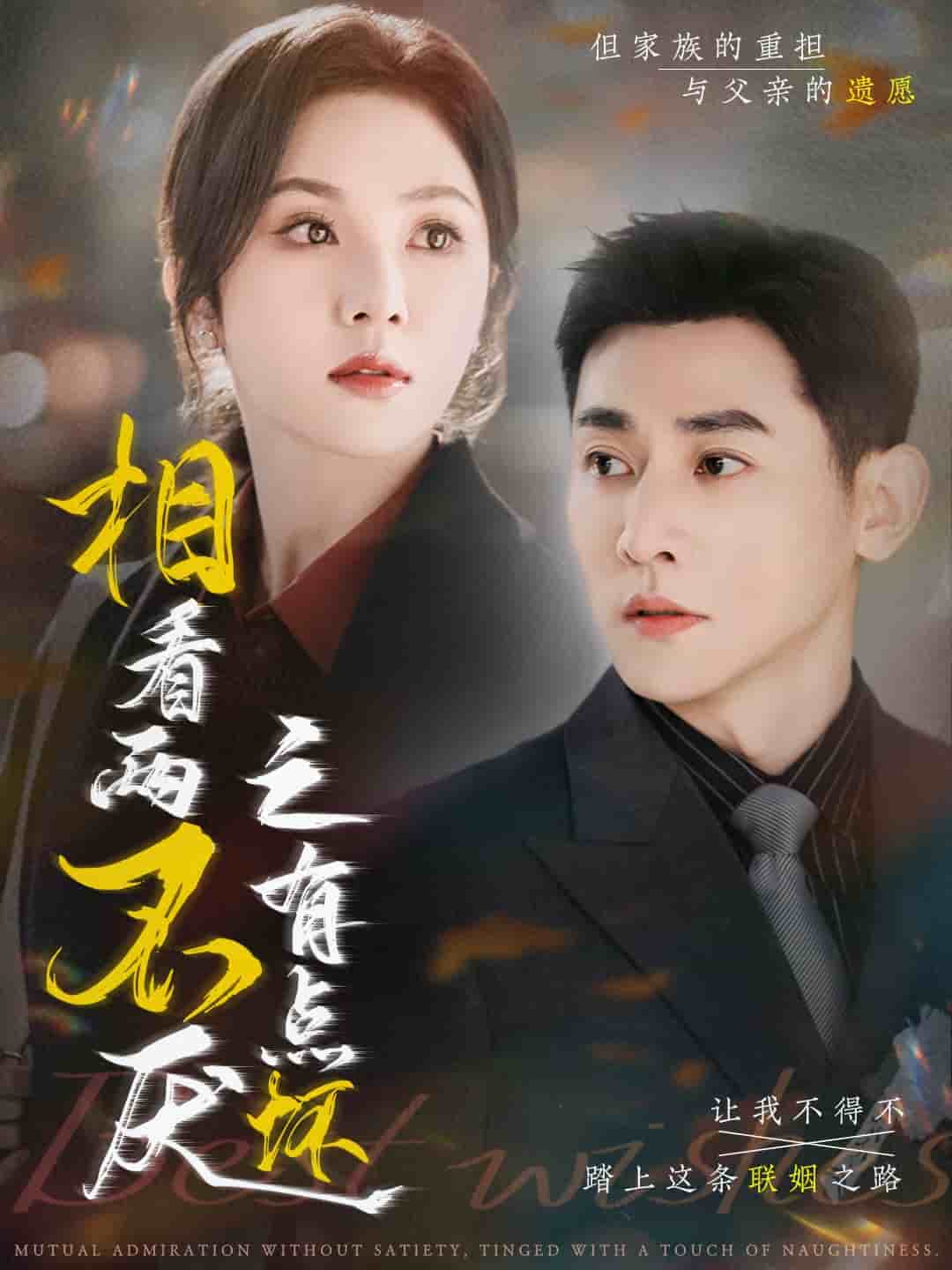 《相看两不厌之有点坏》完整版在线观看