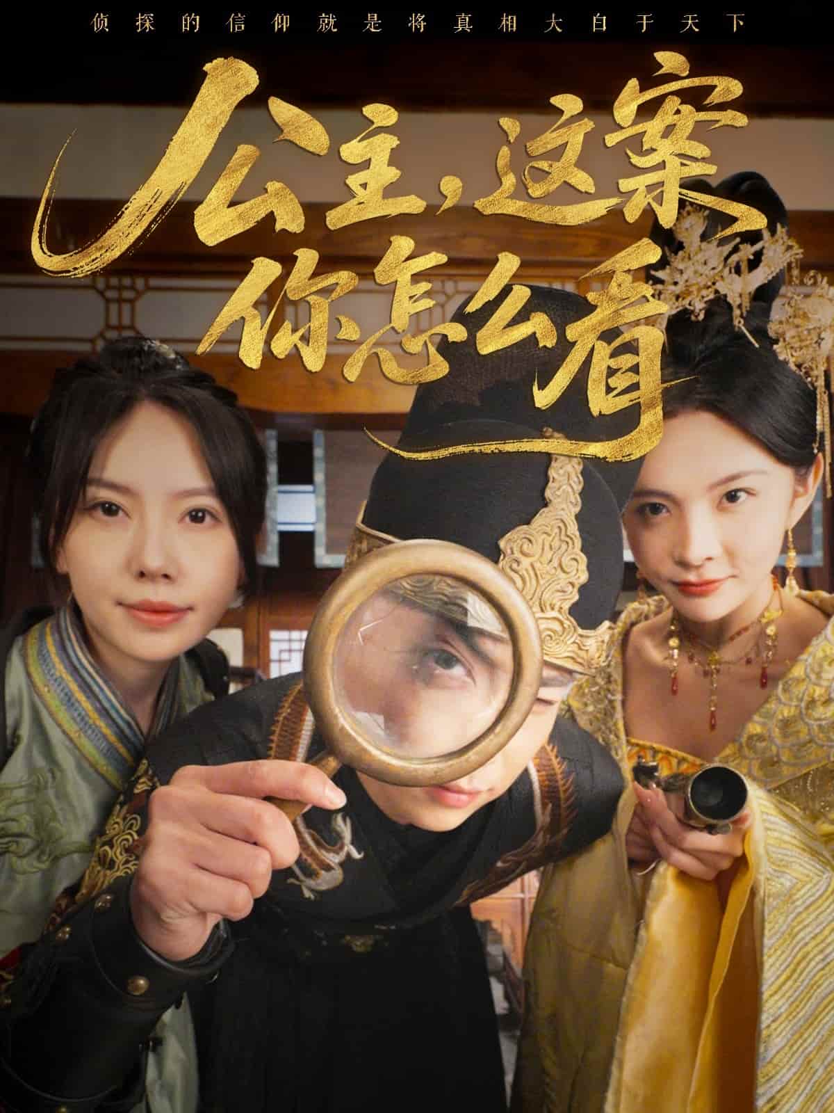 《公主,这案你怎么看》完整版在线观看