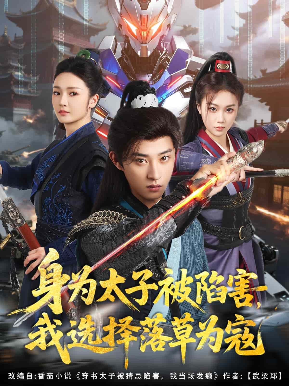 《身为太子被陷害，我选择落草为寇》完整版在线观看