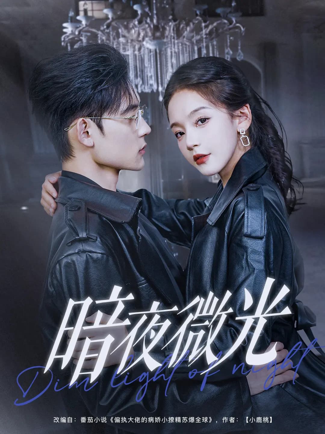 《暗夜微光》完整版在线观看