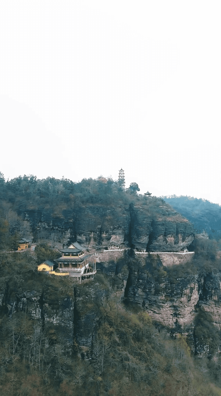 《功夫萌宝神算爹》完整版在线观看