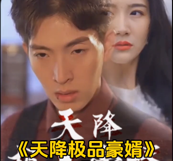 《天降极品豪婿》完整版在线观看