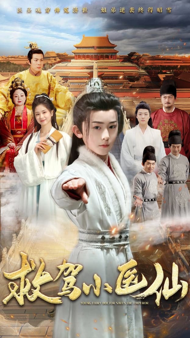 《救驾小医仙》完整版在线观看
