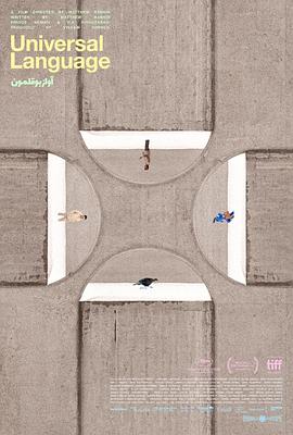 《共同的语言》完整版在线观看