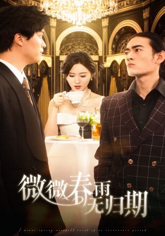 《微微春雨无归期》完整版在线观看