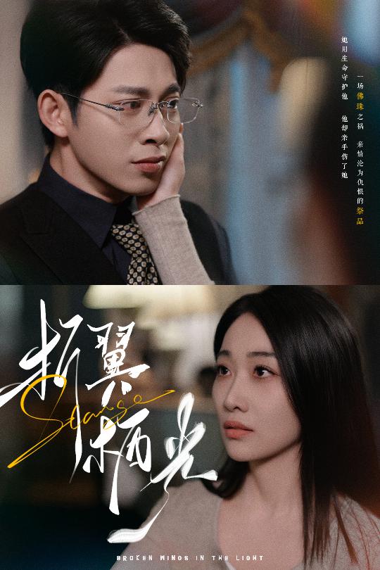 《折翼栖光》完整版在线观看