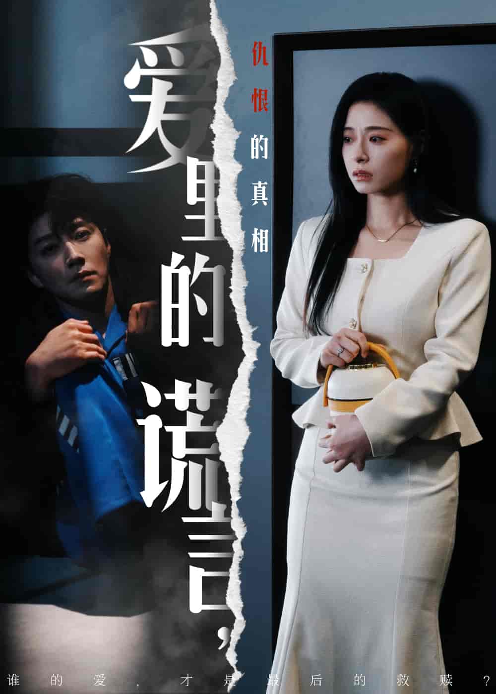 《爱里的谎言，仇恨的真相》完整版在线观看