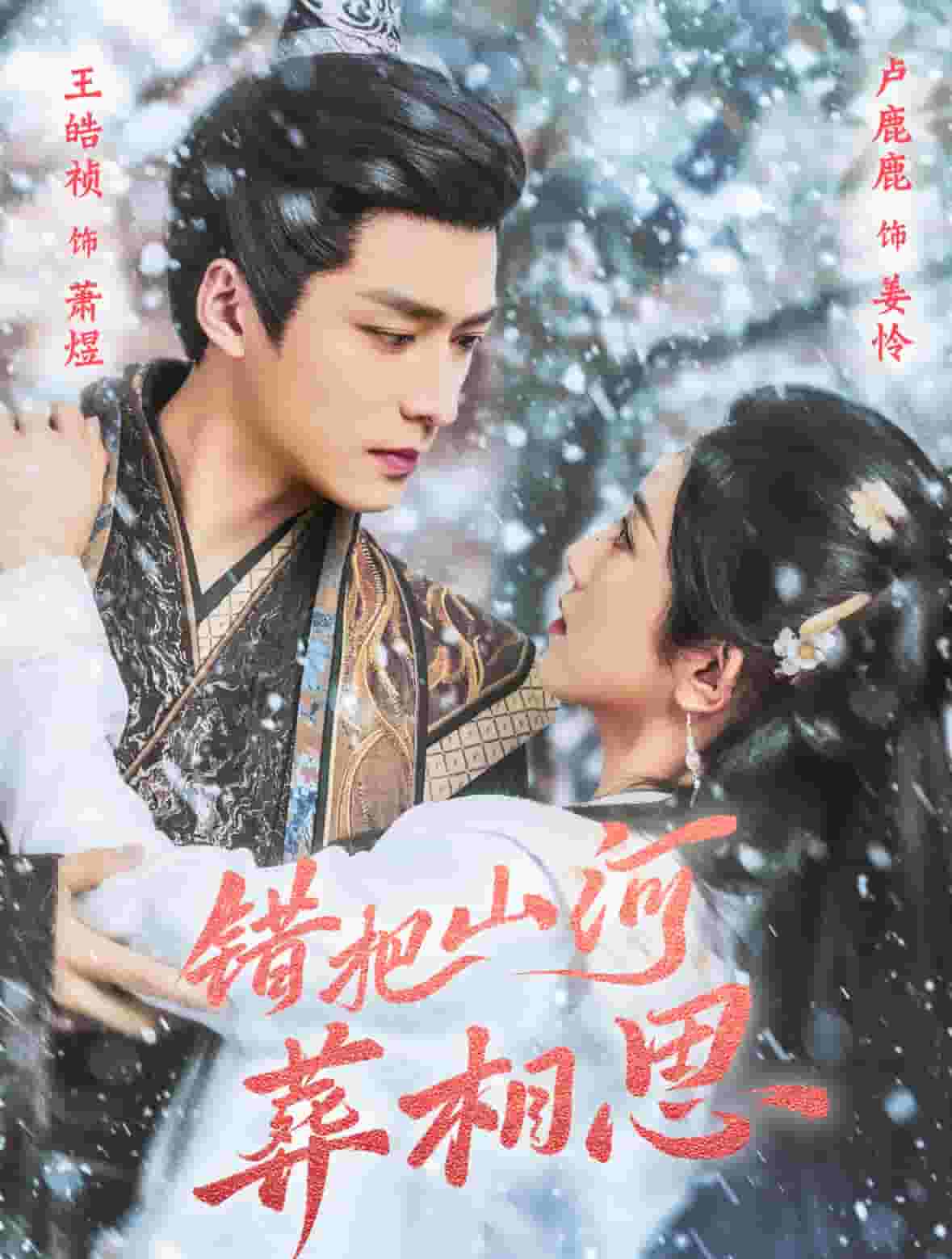 《错把山河葬相思》完整版在线观看