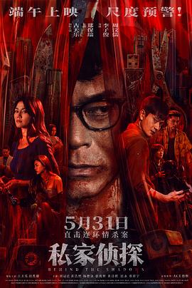 《私家侦探》完整版在线观看