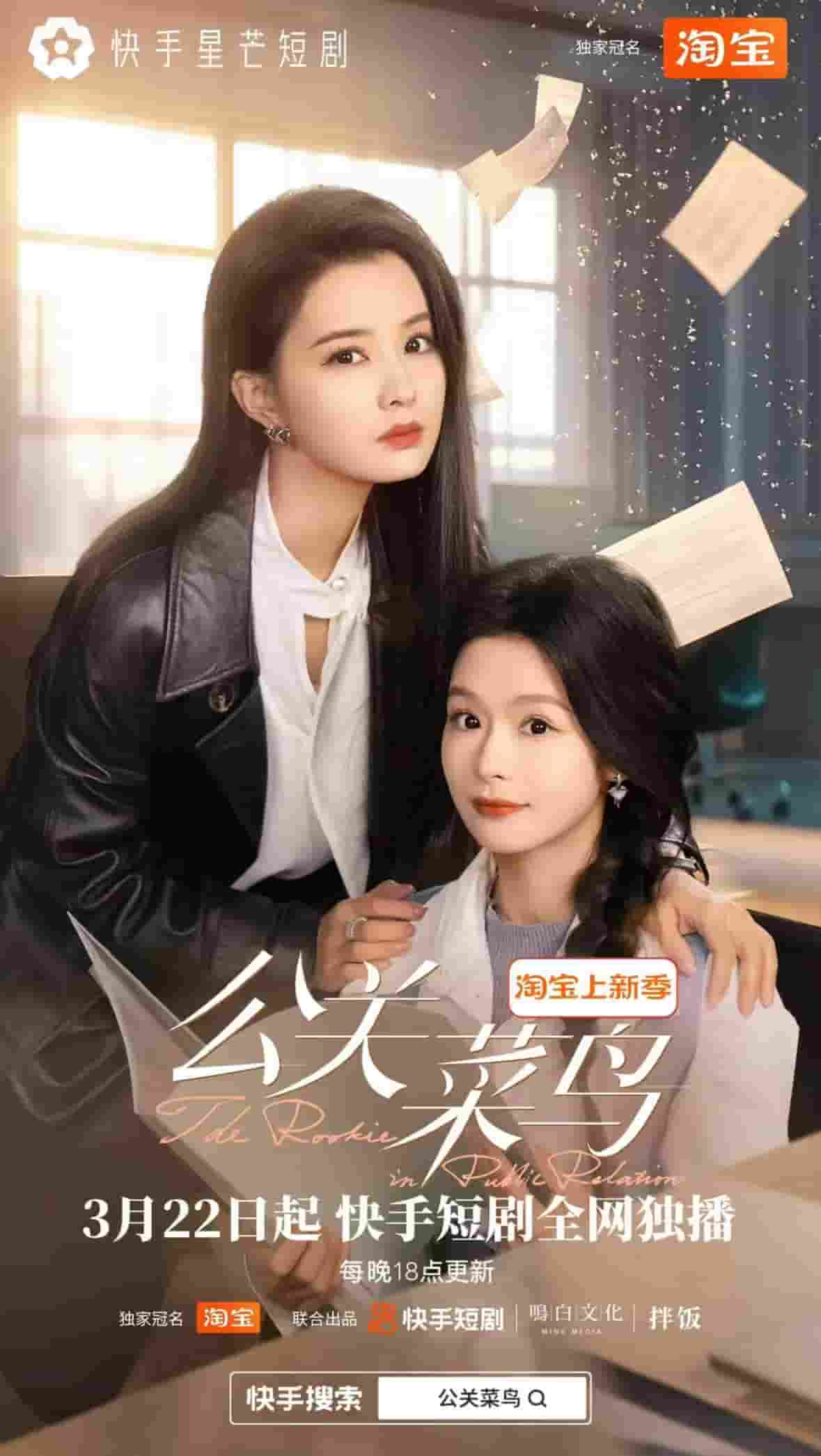 《公关菜鸟》完整版在线观看