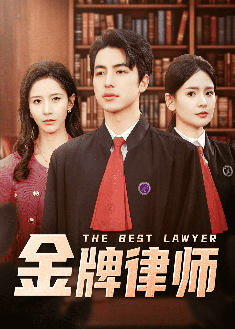 《金牌律师》完整版在线观看