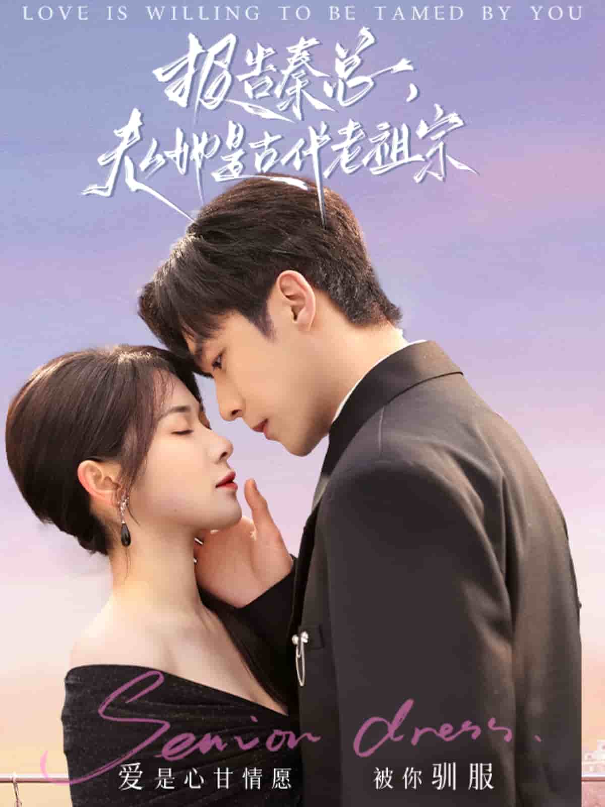 《报告秦总，夫人她是古代老祖宗》完整版在线观看