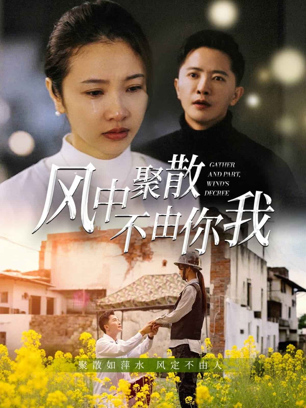 《风中聚散不由你我》完整版在线观看