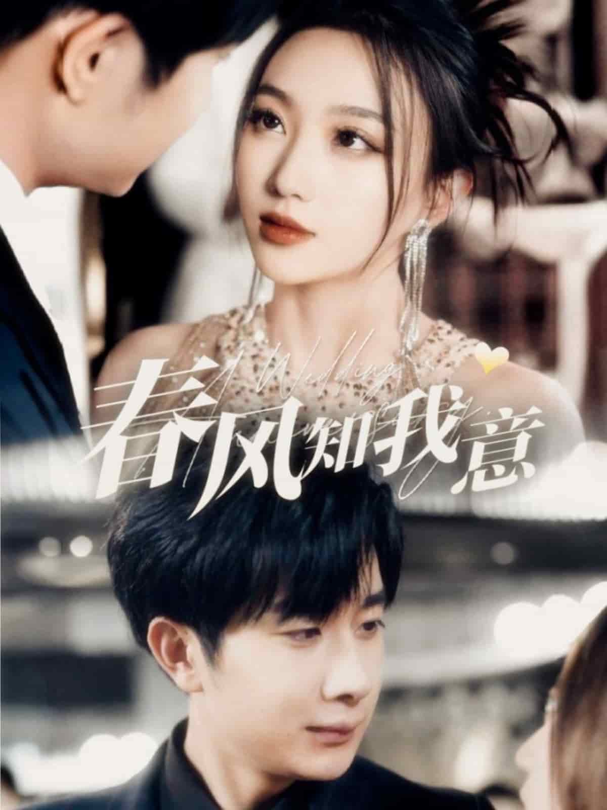 《春风知我意》完整版在线观看