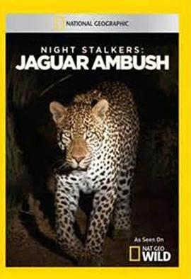 《夜行追踪》完整版在线观看