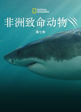 《非洲致命动物第七季》完整版在线观看