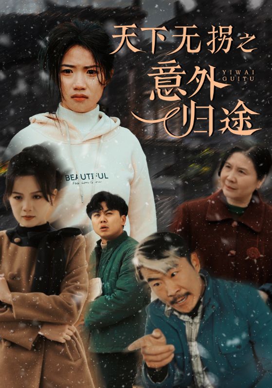 《天下无拐之意外归途》完整版在线观看