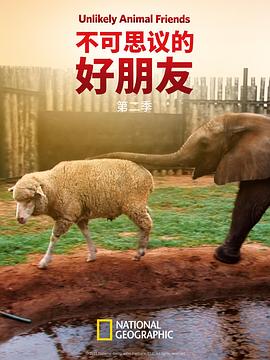 《不可思议的好朋友第二季》完整版在线观看