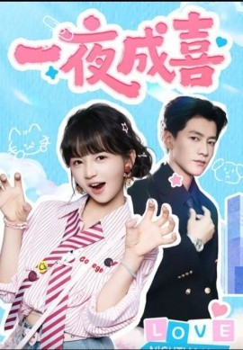 《一夜成喜》完整版在线观看