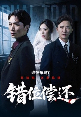 《错位偿还》完整版在线观看