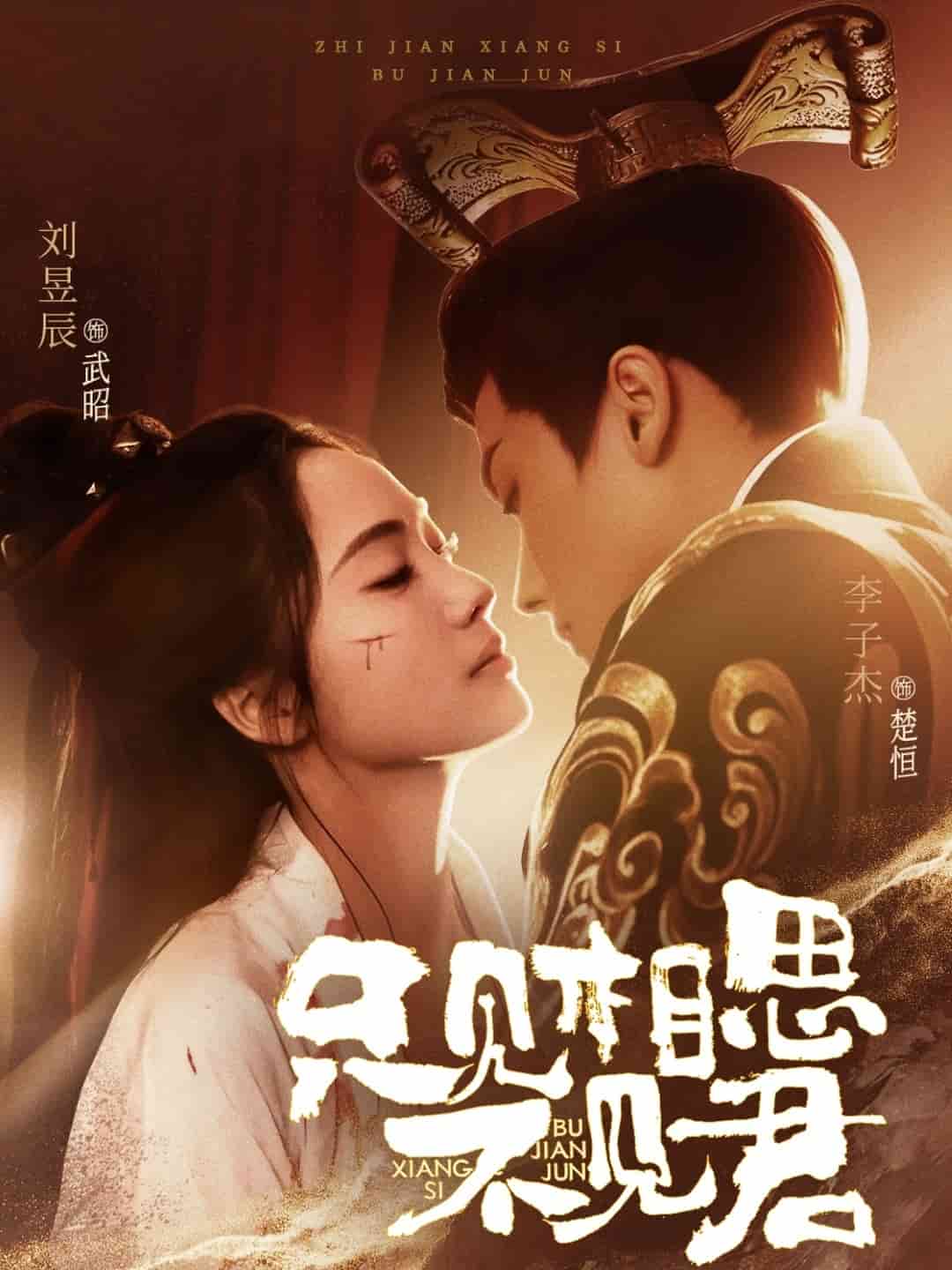 《只见相思不见君》完整版在线观看