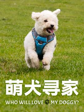 《萌犬寻家》完整版在线观看
