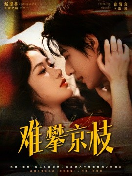 《难攀京枝》完整版在线观看