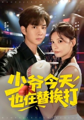 《少爷今天也在替挨打》完整版在线观看